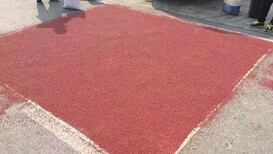 上饶弋阳县咏彩兴邦彩色陶瓷颗粒防滑路面施工队胶水厂家图片4
