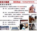 鼎城区德国牧羊犬养狗场图片
