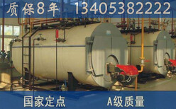 赣榆县燃油热水锅炉
销售厂家图片2