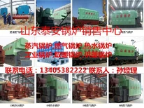 浙江温州环保锅炉经销点图片2