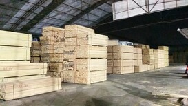 太仓辐射松木方材料图片3