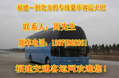 福清到荣成卧铺大巴客车查询图片3