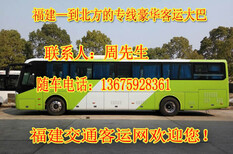 福清到荣成卧铺大巴客车查询图片4