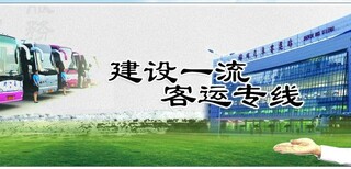 图片0