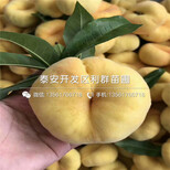 图片0