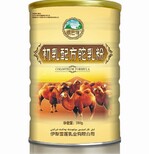 新疆伊利雪莲乳业依巴特原装现货图片1