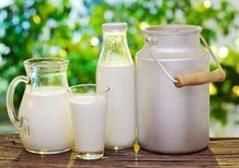 新疆伊利雪莲乳业依巴特原装现货图片2
