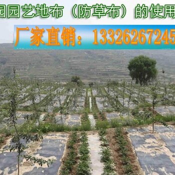 果园防草布的作用和效果，德州正宇土工材料有限公司