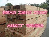 濮阳辐射松建筑方木价格图片5