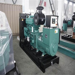 阳信发电机租赁出租出租价格真实在图片3