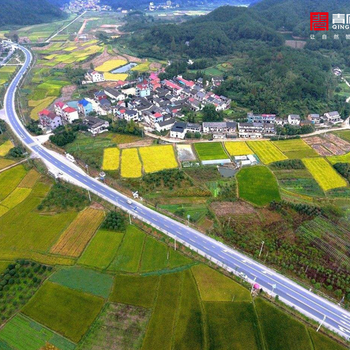 江西青庐香榧基地,一个旅游的好地方