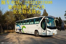 图片0