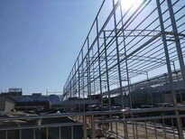 东莞中堂镇钢结构平台工程、铁皮瓦厂房安装石油管道防腐工程施工方案、厂房搭建图片3
