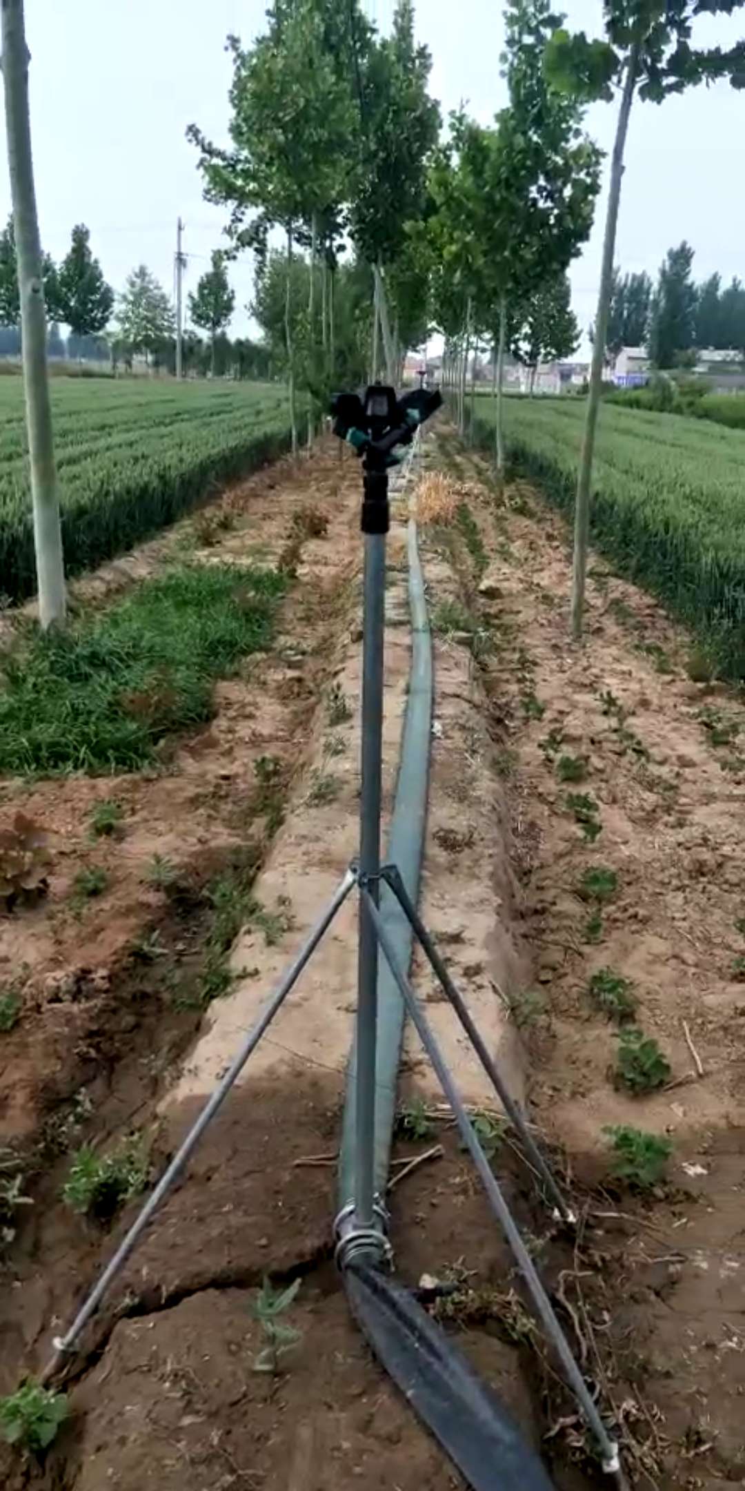 噴,大噴,搖臂噴,除塵噴,大搖臂噴頭,大田噴灌噴頭,本公司對以上噴提供