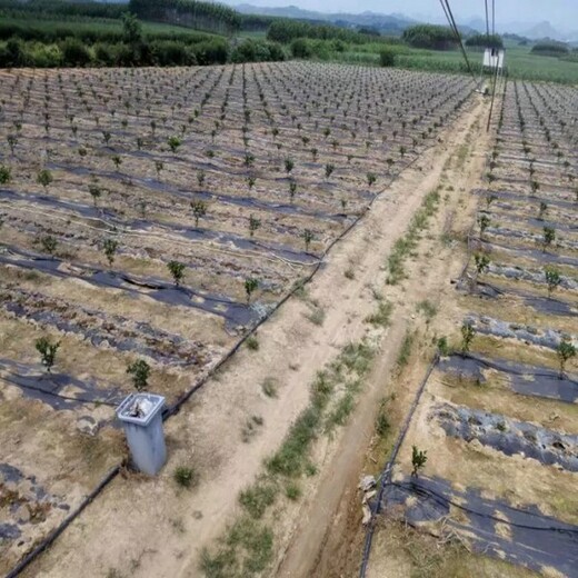 德州防草地除草布批发多少元/平厂家