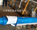 淮安水库潜水泵型号解释--天津智匠泵业