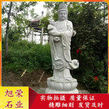 图片0
