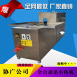 白叼鱼小白鱼小鱼鲫鱼泥鳅秋刀鱼翘嘴鱼杀鱼机小鱼开肚去内脏机图片2