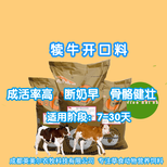 牛犊饲料犊牛饲料饲料厂家,犊牛开胃料图片1