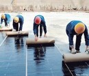 汕头防水堵漏公司