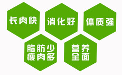 亳州育肥牛饲料添加剂质量可靠,育肥牛预混料图片5