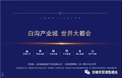 白沟京雄世贸港（四期）_隆基泰和售楼处-知道图片3