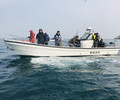 烟台9.6米工作艇海上作业艇灵山兄弟钓鱼艇W32海钓艇