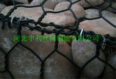 图片0