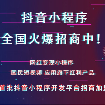 抖音小程序制作开发运营代理招商加盟服务商合作源码模板二次开发