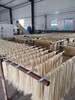 直销粉条机地瓜粉条机厂家报价