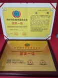 图片0