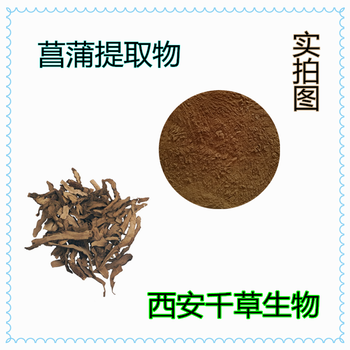 节菖蒲提取物节菖蒲浓缩粉节菖蒲浸膏粉节菖蒲浸膏颗粒