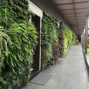 合肥立体植物墙厂家价格