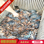 山东皓依0918型病死畜禽无害化处理设备、湿化机、高温杀菌环保图片3