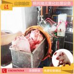 山东皓依0918型病死畜禽无害化处理设备、湿化机、高温杀菌环保图片2