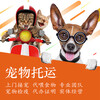郑州宠物托运专线托运