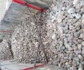 鹤壁化工厂鹅卵石/变压器鹅卵石滤料厂家批发