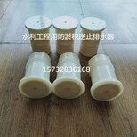 DN100逆止式排水器渠道排水器系统渠道用逆止阀图片2