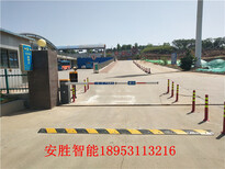 图片0