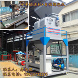 定量下料块煤包装机38块煤籽煤粉灌包机图片3