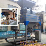 定量下料块煤包装机38块煤籽煤粉灌包机图片5