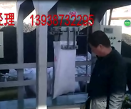 定量下料块煤包装机38块煤籽煤粉灌包机图片1