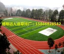 广西做一块足球场人造草坪场地造价，广西卖人工草坪》欢迎您图片
