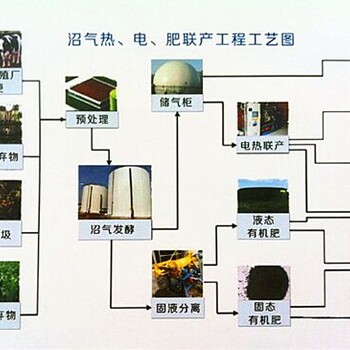 猪粪有机肥生产线实际步骤