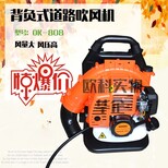 吹尘机大功率吹雪机背负式灭火机大棚吹雪机图片0