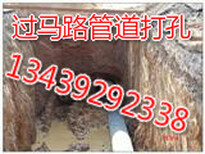 图片0